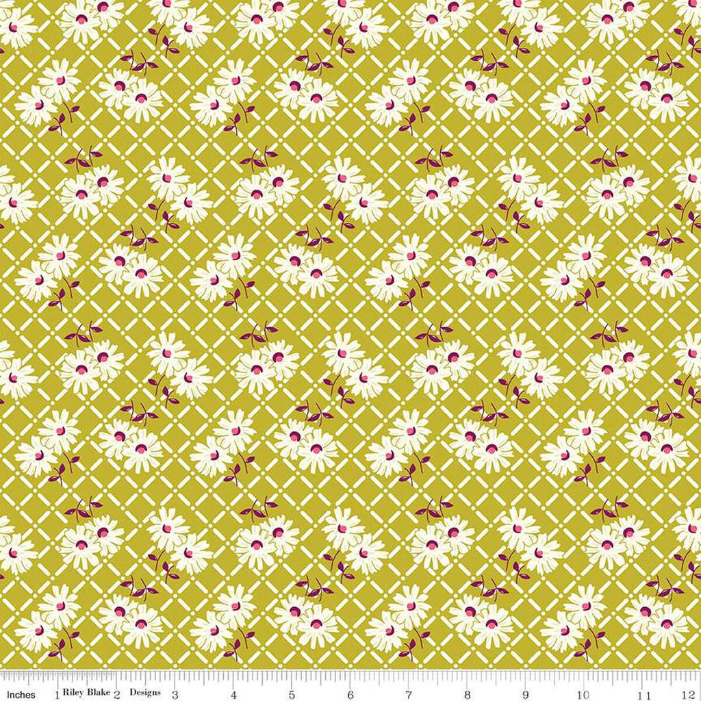 SALE Adel in Summer Trellis C13391 Pear - Riley Blake Designs - Floral Flowers White Zinnias - Quilting Cotton Fabric