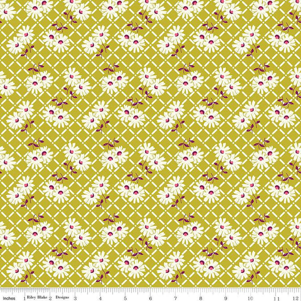 SALE Adel in Summer Trellis C13391 Pear - Riley Blake Designs - Floral Flowers White Zinnias - Quilting Cotton Fabric