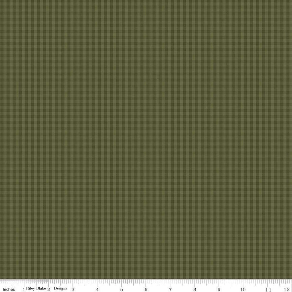 Anne of Green Gables PRINTED Gingham C13857 Basil - Riley Blake Designs - Tone-on-Tone Checks - Quilting Cotton Fabric - Licensed Product