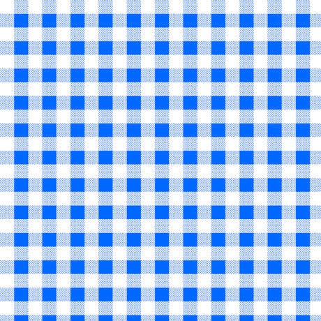 CLEARANCE Dots and Stripes and More Brights PRINTED Medium Gingham 28896 B Blue White - QT Fabrics -  Checks - Quilting Cotton Fabric