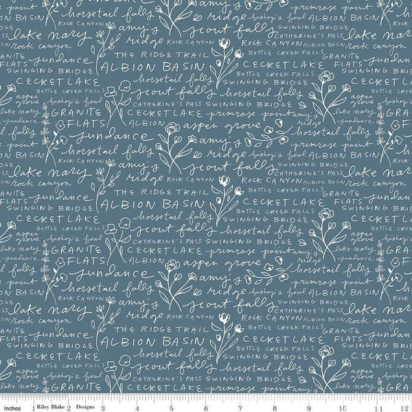 SALE Albion Text C14595 Blue - Riley Blake Designs - Places in Wasatch Mountains Utah Flowers - Quilting Cotton Fabric