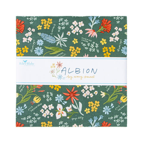 SALE Albion Layer Cake 10" Stacker Bundle - Riley Blake Designs - 42 piece Precut Pre cut - Quilting Cotton Fabric