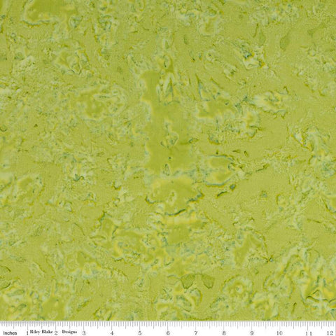 SALE Batiks Expressions Hand-Dyes BTHH151 Sage - Riley Blake Designs - Hand-Dyed Print - Quilting Cotton Fabric