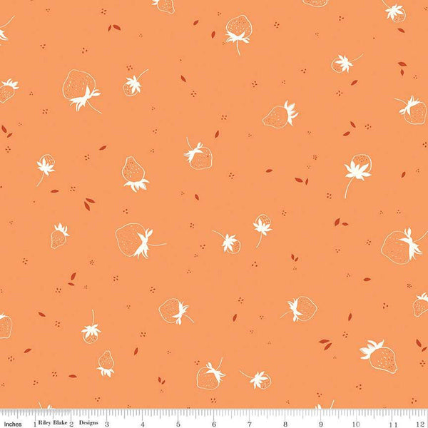 SALE BloomBerry Berry Sprouts C14603 Tangerine by Riley Blake Designs - Strawberries Pin Dots - Quilting Cotton Fabric