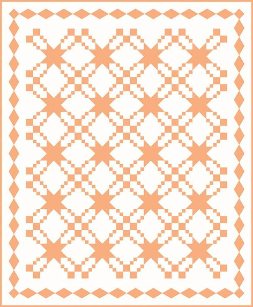 SALE A Year in Solids Booklet P166 by Jessica Dayon - Riley Blake Designs - INSTRUCTIONS Only - Piecing - 12 Patterns