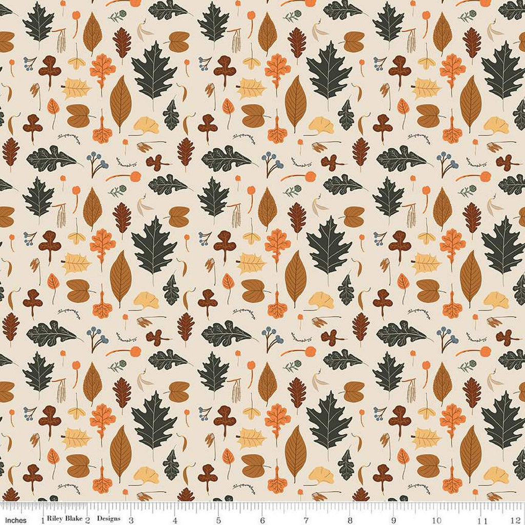 Image of ivory cream colored quilting cotton fabric for the Pumpkin Spice collection by Riley Blake Designs. Features scattered various leaves on a cream background. 
Cute Little Fabric Shop