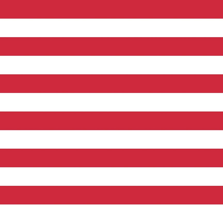 15" End of Bolt - SALE KNIT Red and White 1" One Inch Stripe K540 - Riley Blake Designs - Patriotic - Jersey KNIT Cotton Stretch Fabric
