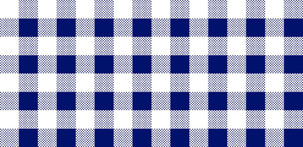 SALE Dots and Stripes and More PRINTED Medium Gingham 28896 N Navy White - QT Fabrics - Check Checks Checkered - Quilting Cotton Fabric