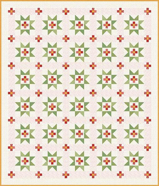 Image of the It's Sew Emma Prairie Home Book by Lori Holt for Riley Blake Designs. Features a cream and green star quilt.
Cute Little Fabric Shop