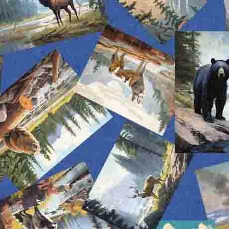 Image of the On the Road Again Animal Postcards Sky quilting cotton fabric by Moda Fabrics. Features scattered postcards of animals. 
Cute Little Fabric Shop