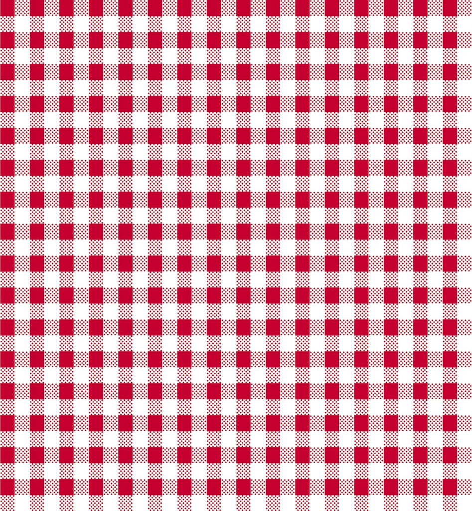 Dots and Stripes and More PRINTED Mini Gingham 28895 R Red White - QT Fabrics - Check Checks Checkered - Quilting Cotton Fabric