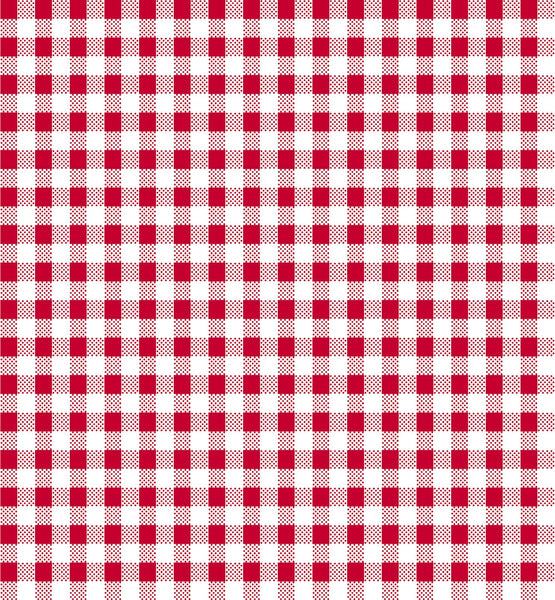 Dots and Stripes and More PRINTED Mini Gingham 28895 R Red White - QT Fabrics - Check Checks Checkered - Quilting Cotton Fabric
