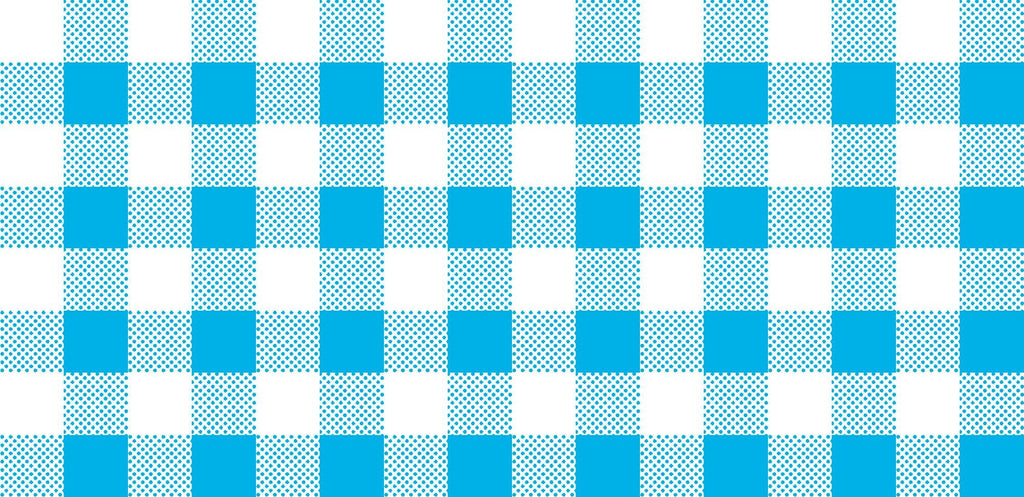 CLEARANCE Dots and Stripes and More Brights PRINTED Medium Gingham 28896 Q Turquoise White - QT Fabrics - Check - Quilting Cotton Fabric