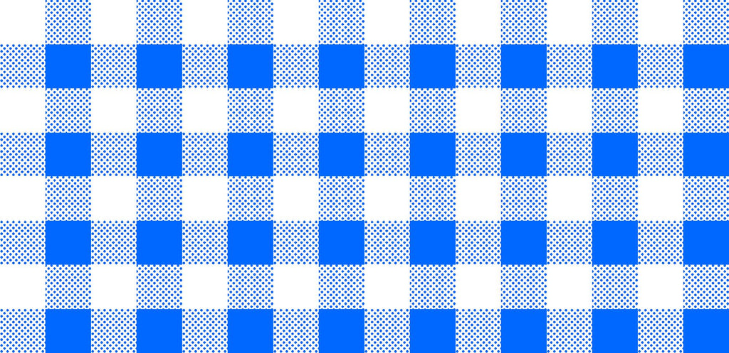 CLEARANCE Dots and Stripes and More Brights PRINTED Medium Gingham 28896 B Blue White - QT Fabrics -  Checks - Quilting Cotton Fabric
