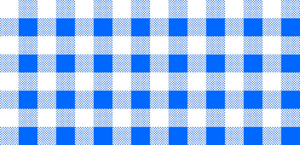 CLEARANCE Dots and Stripes and More Brights PRINTED Medium Gingham 28896 B Blue White - QT Fabrics -  Checks - Quilting Cotton Fabric