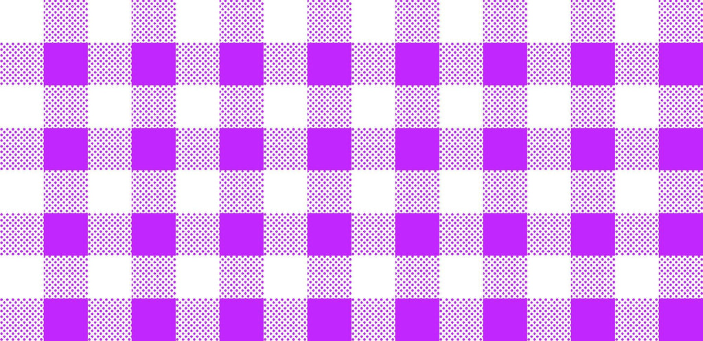 CLEARANCE Dots and Stripes and More Brights PRINTED Medium Gingham 28896 V Purple White - QT Fabrics - Checks - Quilting Cotton Fabric