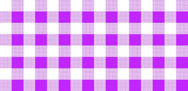 CLEARANCE Dots and Stripes and More Brights PRINTED Medium Gingham 28896 V Purple White - QT Fabrics - Checks - Quilting Cotton Fabric