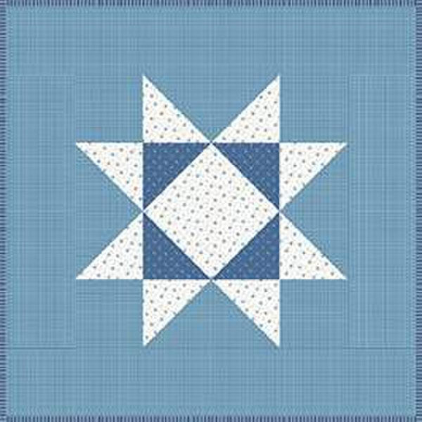 Image of the It's Sew Emma Prairie Home Book by Lori Holt for Riley Blake Designs. Features a quilt with a blue stars.
Cute Little Fabric Shop