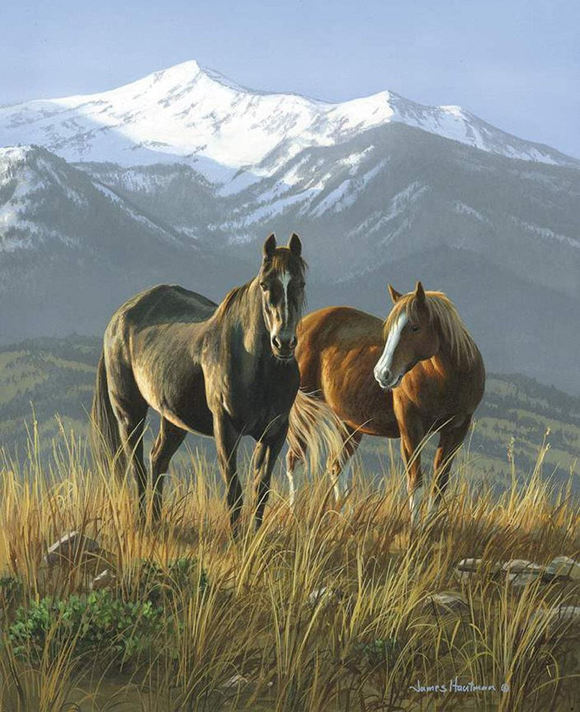 Image of the Wild Horses Smoky Valley Panel quilting cotton fabric by Riley Blake Designs. Features horses with mountains in the background.
Cute Little Fabric Shop