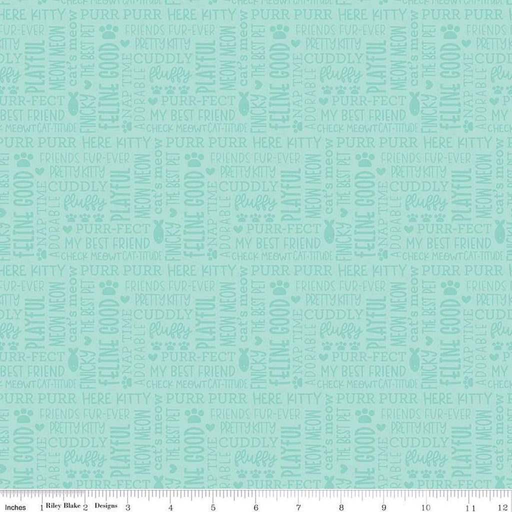 Image of the Pretty Kitty™ Kitty Talk Blue quilting cotton fabric by Doodlebug Design Inc for Riley Blake Designs. Features words on a teal background. Cute Little Fabric Shop