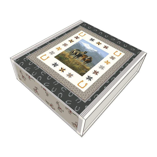 Image of the Smoky Valley Panel Quilt Boxed Kit by Riley Blake Designs. Features horses and horseshoes on a quilt. 
Cute Little Fabric Shop