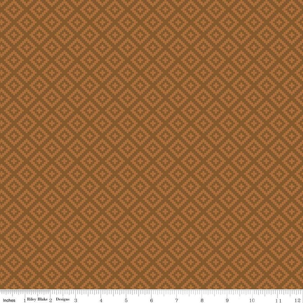 SALE National Parks Diamonds C15099 Teddy Bear - Riley Blake Designs - Geometric - Quilting Cotton Fabric