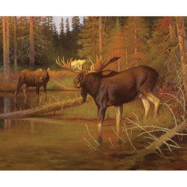 SALE Majestic in Nature Intruder Panel PD15982 - Riley Blake Designs - DIGITALLY PRINTED - Moose Water Forest - Quilting Cotton Fabric