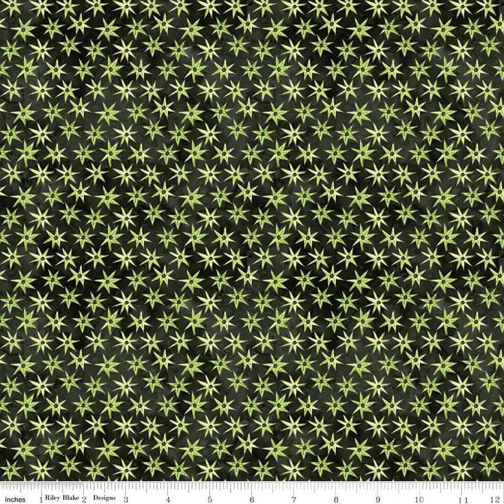 Image of the Ghoul Friends Stars Black quilting cotton fabric by Teresa Kogut for Riley Blake Designs. Features stars on a black background. Cute Little Fabric Shop