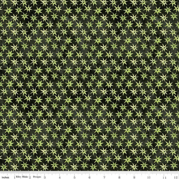 Image of the Ghoul Friends Stars Black quilting cotton fabric by Teresa Kogut for Riley Blake Designs. Features stars on a black background. Cute Little Fabric Shop