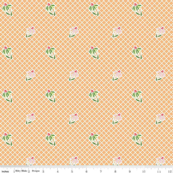 Image of the Summer Skies and Fireflies Cone Flowers Orange Quilting Cotton Fabric by Riley Blake Designs. Features grid lines on an orange background. Cute Little Fabric Shop