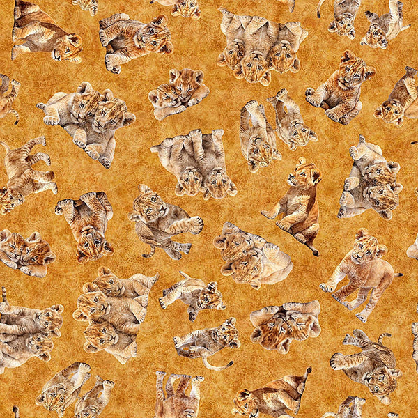 Image of Roar of the Pride Cubs Toss Gold quilting cotton fabric by Morris Creative Group for QT Fabrics. Features cubs on a gold background. Cute Little Fabric Shop