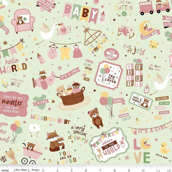 Image of Baby Girl Main Mint quilting cotton fabric by Lori Whitlock for Riley Blake Designs. Features toys on a green background. Cute Little Fabric Shop