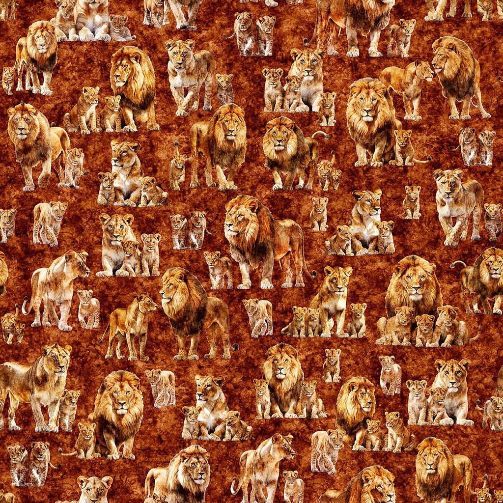 Image of Roar of the Pride Family Allover Rust quilting cotton fabric by Morris Creative Group for QT Fabrics. Features lions on a red background. Cute Little Fabric Shop