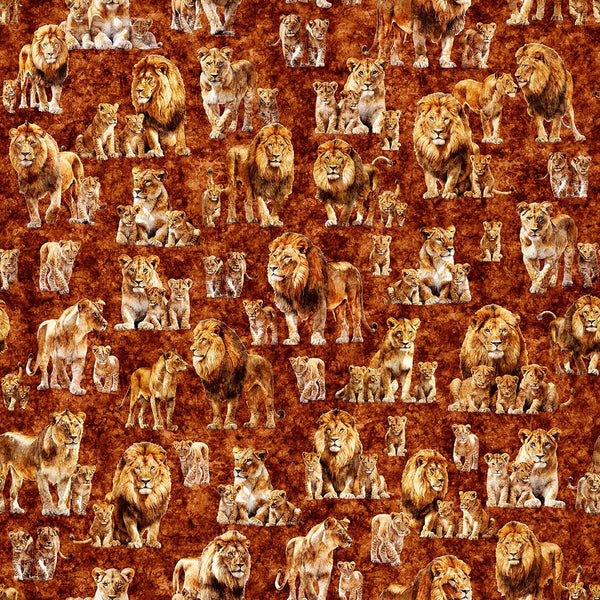 Image of Roar of the Pride Family Allover Rust quilting cotton fabric by Morris Creative Group for QT Fabrics. Features lions on a red background. Cute Little Fabric Shop