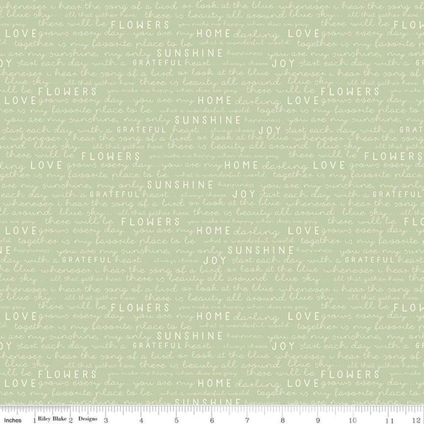 Gingham Cottage PRINTED Gingham C13014 Green - Riley Blake Designs - G –  Cute Little Fabric Shop