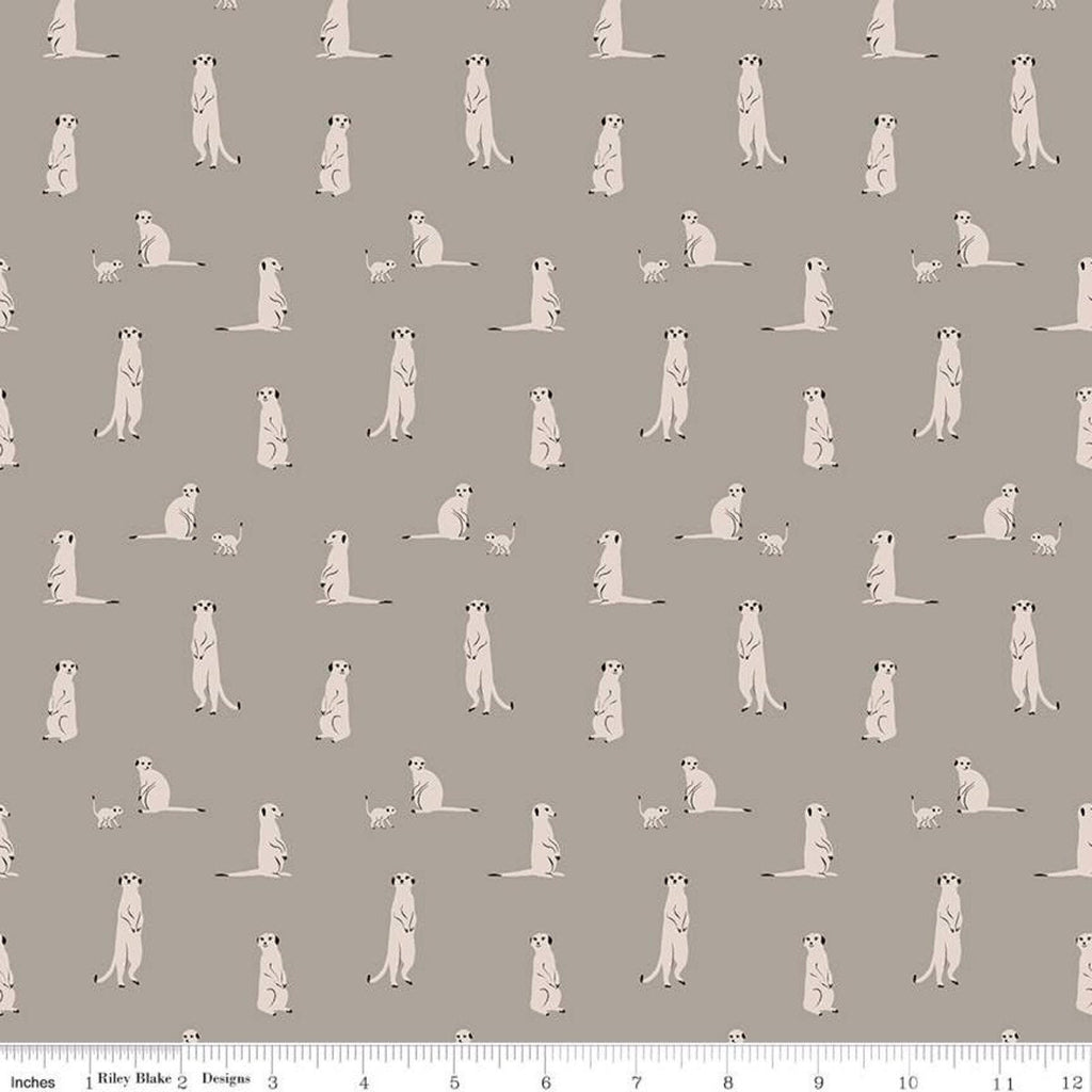 SALE The Waterhole Meerkat C11843 Gray - Riley Blake Designs - Meerkats Africa Savanna Animals - Quilting Cotton Fabric