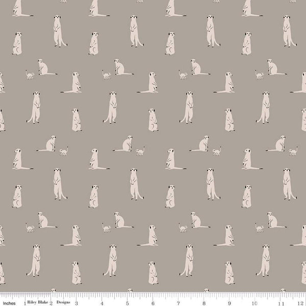 SALE The Waterhole Meerkat C11843 Gray - Riley Blake Designs - Meerkats Africa Savanna Animals - Quilting Cotton Fabric