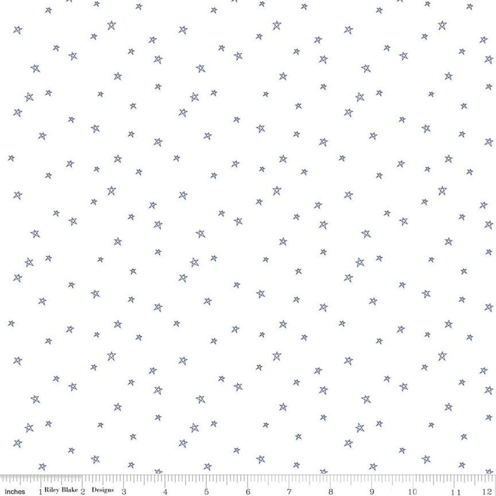 SALE Bee Plaids Farmhouse Star C12039 Denim by Riley Blake Designs - Hand-Drawn Stars on White - Lori Holt - Quilting Cotton Fabric