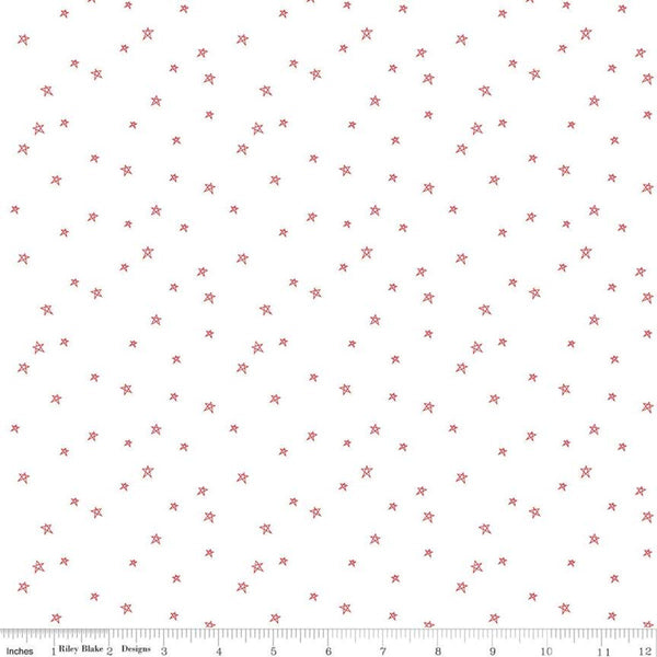 SALE Bee Plaids Farmhouse Star C12039 Cayenne by Riley Blake Designs - Hand-Drawn Stars on White - Lori Holt - Quilting Cotton Fabric
