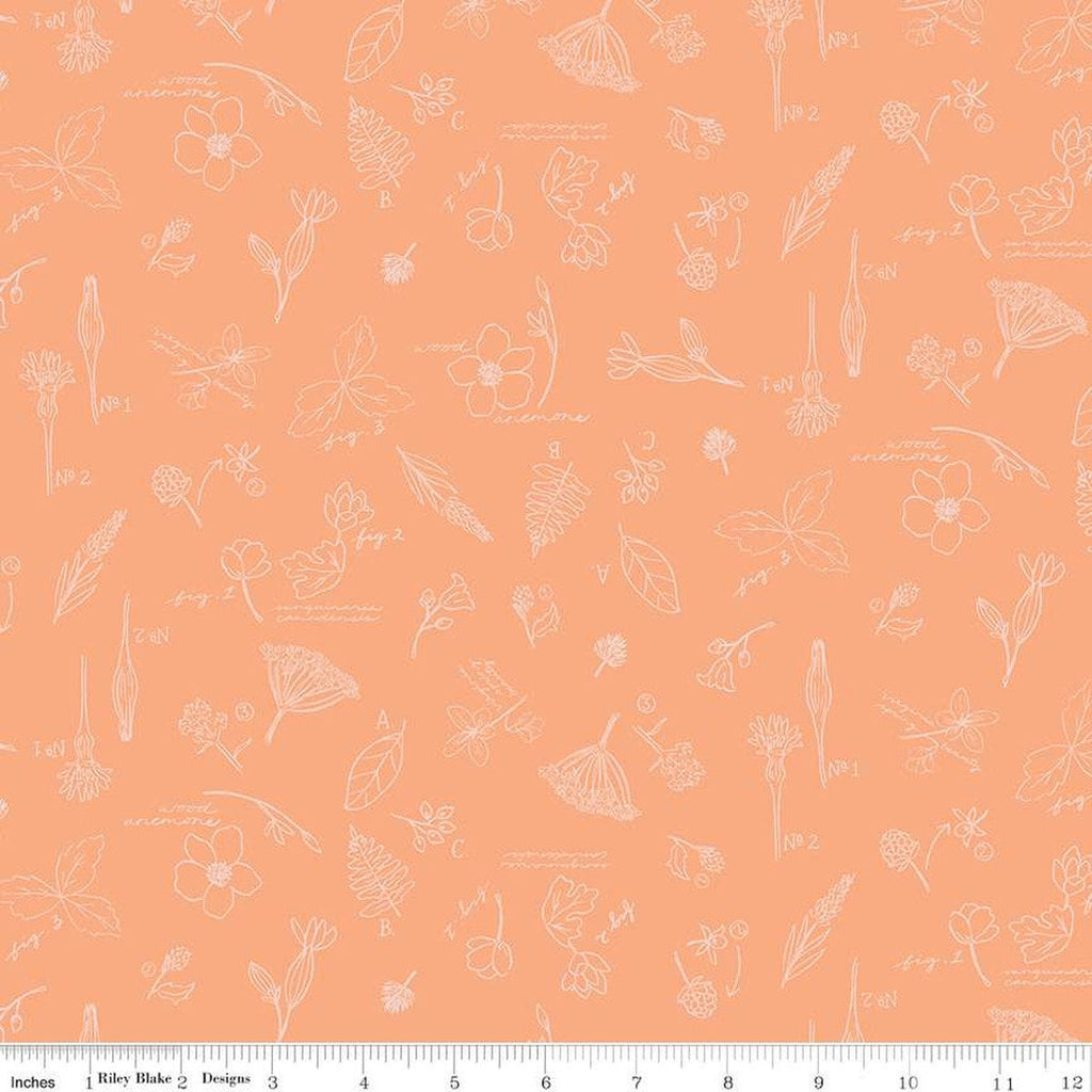 SALE Wildwood Wander Sketchbook C12432 Peach - Riley Blake Designs - Line-Drawn Flowers Floral Text - Quilting Cotton