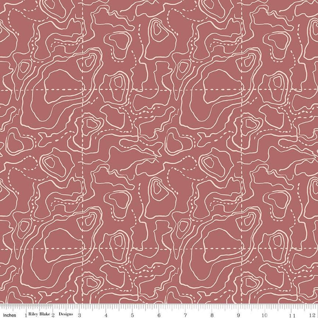 SALE Wildwood Wander Topographic C12434 Rose - Riley Blake Designs - Tone-on-Tone Map - Quilting Cotton Fabric