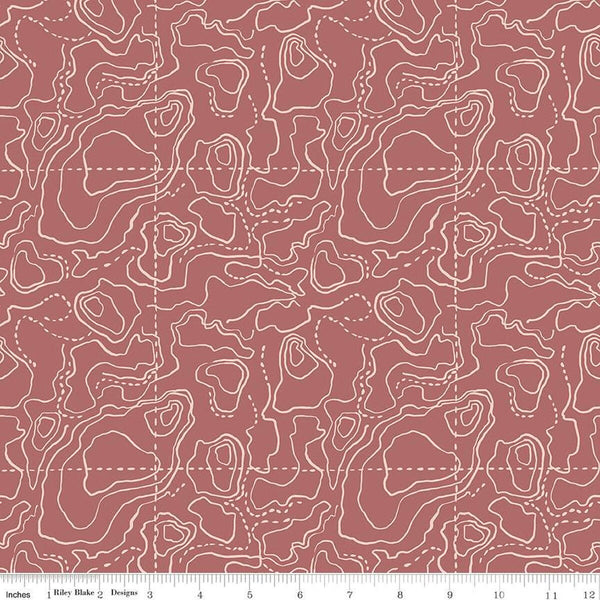 SALE Wildwood Wander Topographic C12434 Rose - Riley Blake Designs - Tone-on-Tone Map - Quilting Cotton Fabric