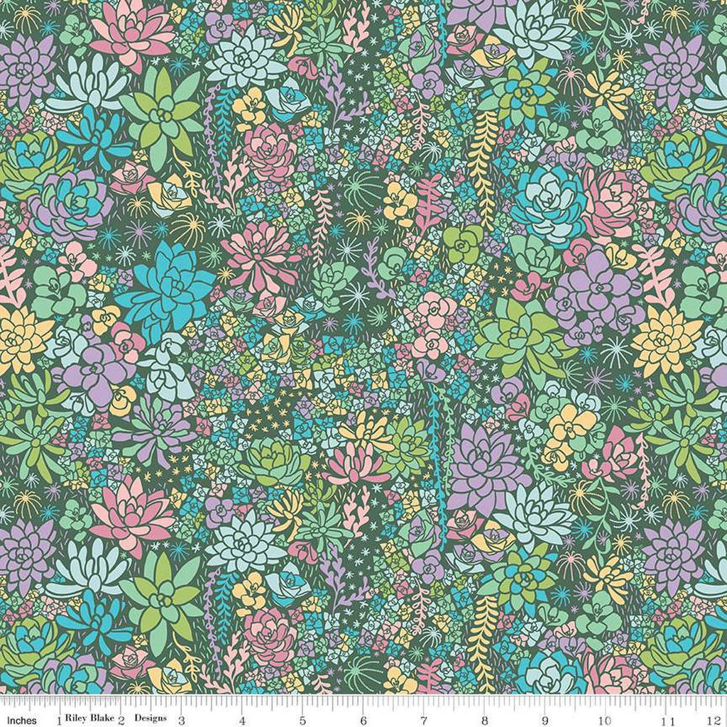 SALE Arid Oasis Main C12490 Hunter by Riley Blake Designs - Succulents Succulent Plants - Quilting Cotton Fabric