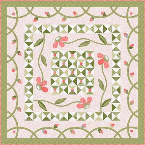 SALE Jillily Studio A Walk in the Park Quilt PATTERN P112 - Riley Blake - INSTRUCTIONS Only - Pieced Hourglasses Appliqued Vines Flowers
