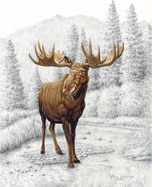 SALE Big Game Moose Pencil Painting Panel PD12975 by Riley Blake Designs - DIGITALLY PRINTED Animal Outdoors - Quilting Cotton Fabric