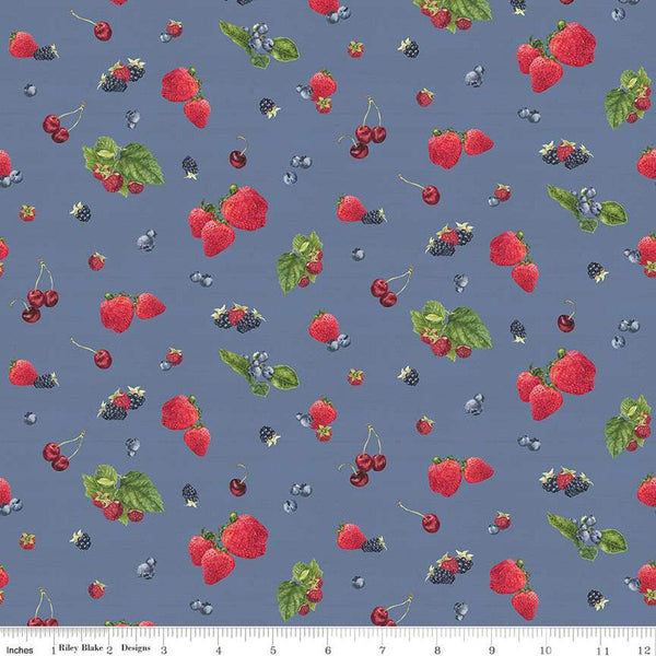 CLEARANCE Monthly Placemats June Berry Toss C12411 Denim by Riley Blake  - Berries - Quilting Cotton