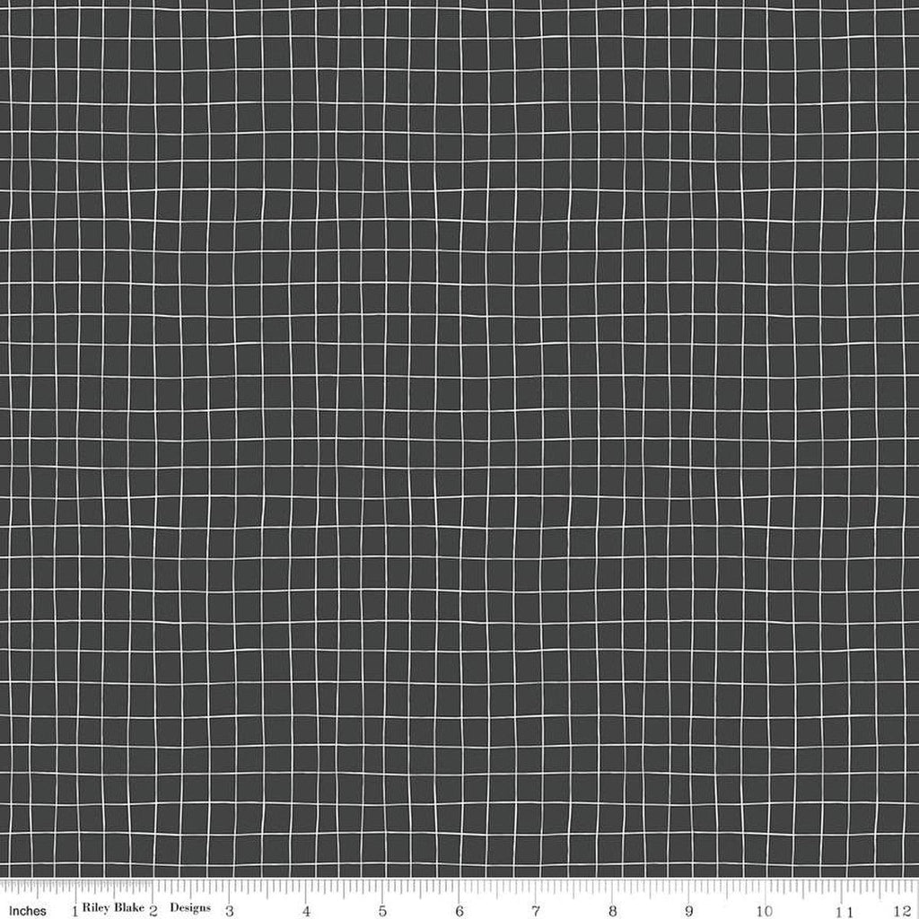 SALE Wild and Free Grid C12936 Charcoal - Riley Blake Designs - Irregular Grid - Quilting Cotton Fabric