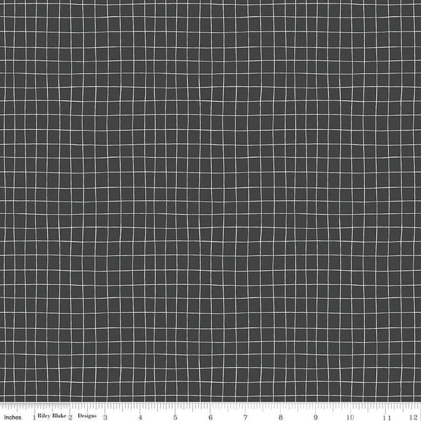 SALE Wild and Free Grid C12936 Charcoal - Riley Blake Designs - Irregular Grid - Quilting Cotton Fabric