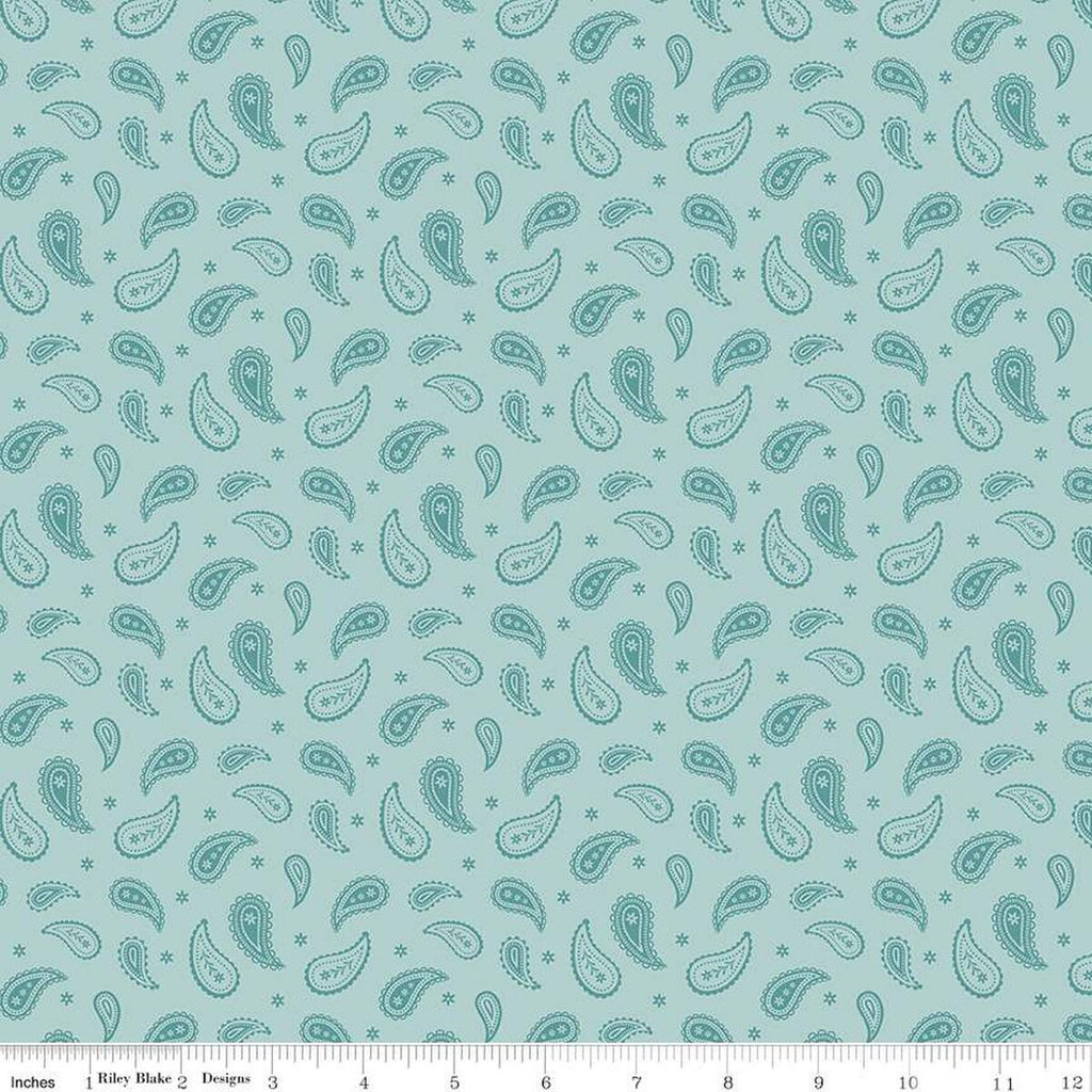 SALE Ally's Garden Paisley C13246 Aqua by Riley Blake Designs - Paisleys Daisies - Quilting Cotton Fabric