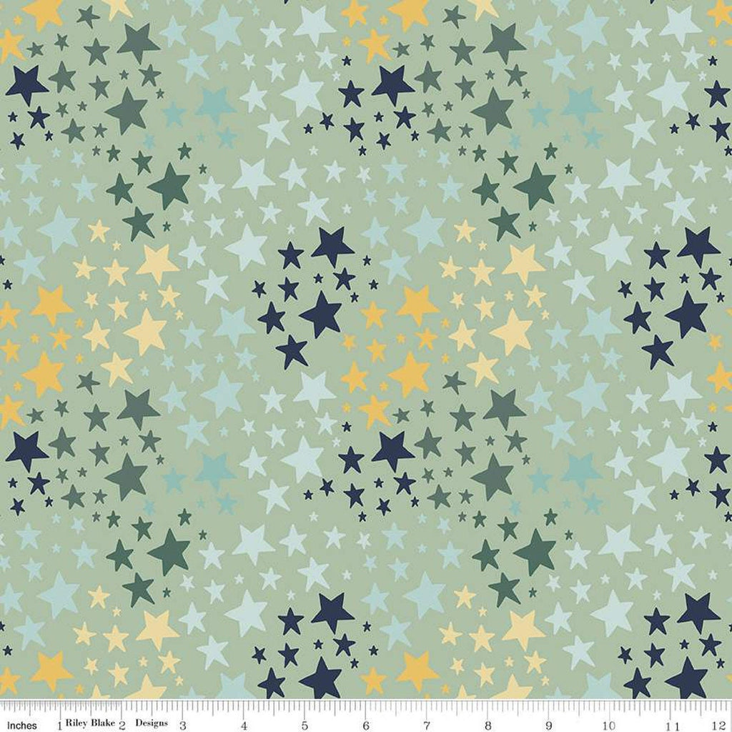 It's a Boy Stars C13254 Sage by Riley Blake Designs - Star - Quilting Cotton Fabric